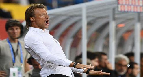 رينار مدرب المغرب: الجميع كان يريد تجنب إسبانيا